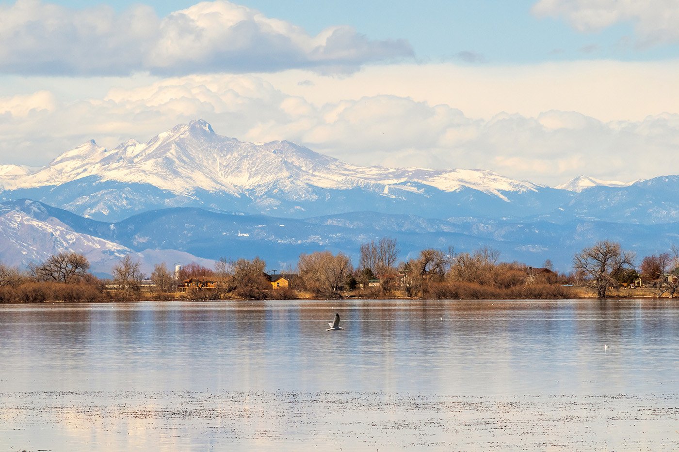 Barr Lake State Park in Brighton, Colorado. Mountains in distance and bird flying over a body of water in foreground.